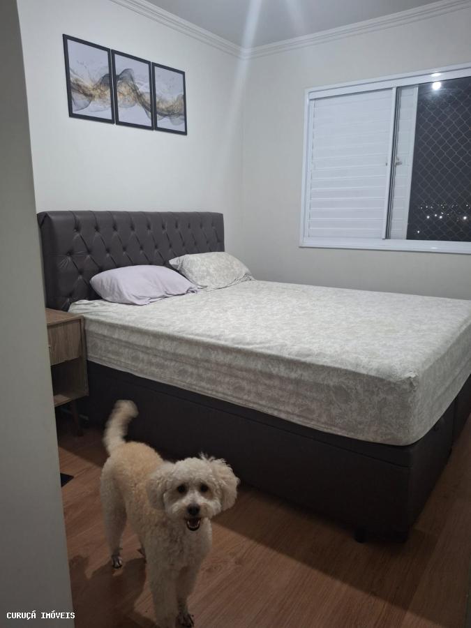 Apartamento para alugar com 2 quartos, 53m² - Foto 20